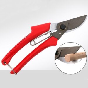 Fruit Tree Gardening Scissors